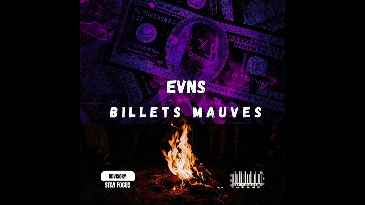EVNS Billets Mauves 