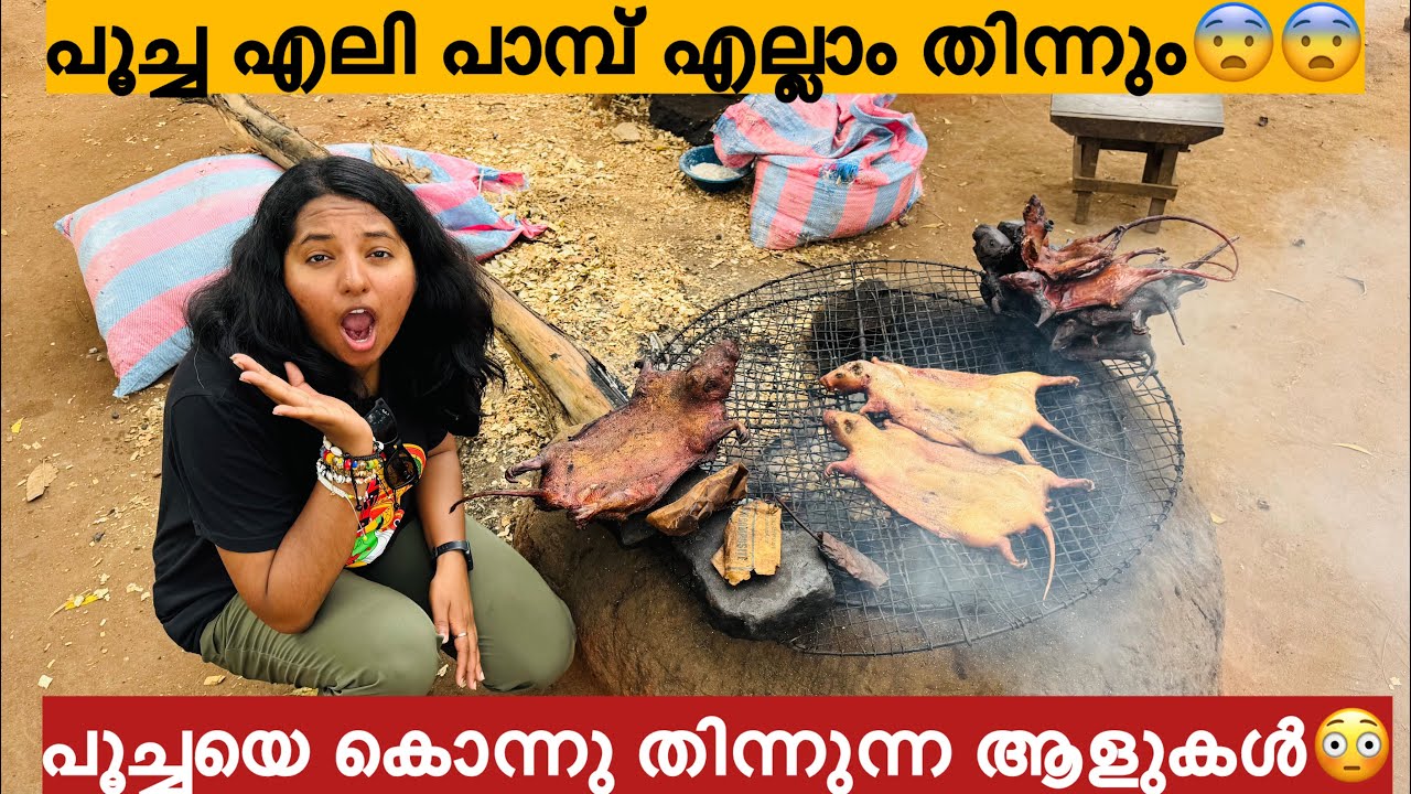 EP🇧🇯:1 ഇങ്ങനെ ഒരു ആഫ്രിക്കൻ രാജ്യം നിങ്ങൾ കണ്ടിട്ടുണ്ടോ?? Village life in Benin West Africa 