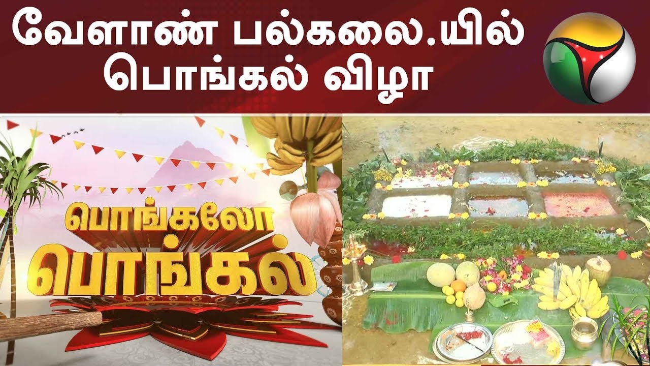 கோவை வேளாண் பல்கலை.யில் பொங்கல் விழா | Pongal 2019 | Pongal festival 2019