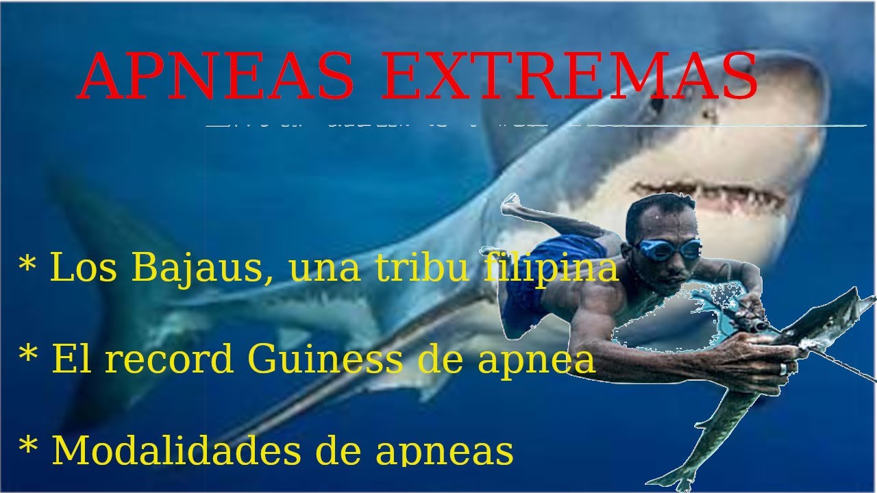 Apnea. Resistir bajo el mar.