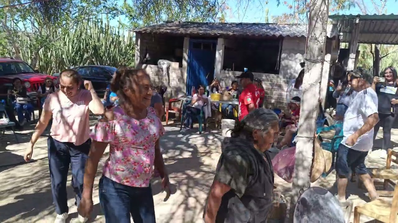 Ratón 🐭🐭🐭🐭 Vaquero en Santo Domingo Tonahuixtla Puebla