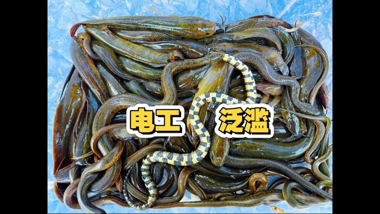 野外看到有电工作业，你们会怎么办。