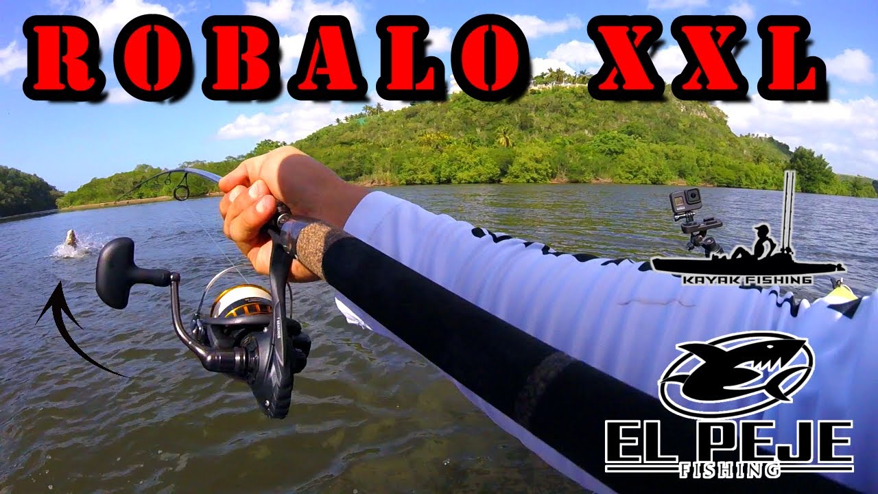 Pesca De ROBALO XXL |Fishing GIANT SNOOK|