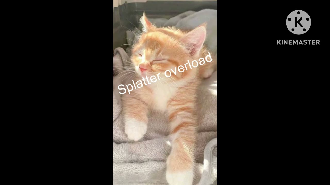 𝘚𝘱𝘭𝘢𝘵𝘵𝘦𝘳 𝘰𝘷𝘦𝘳𝘭𝘰𝘢𝘥 (𝘮𝘶𝘴𝘪𝘤 𝘢𝘭𝘣𝘶𝘮) 