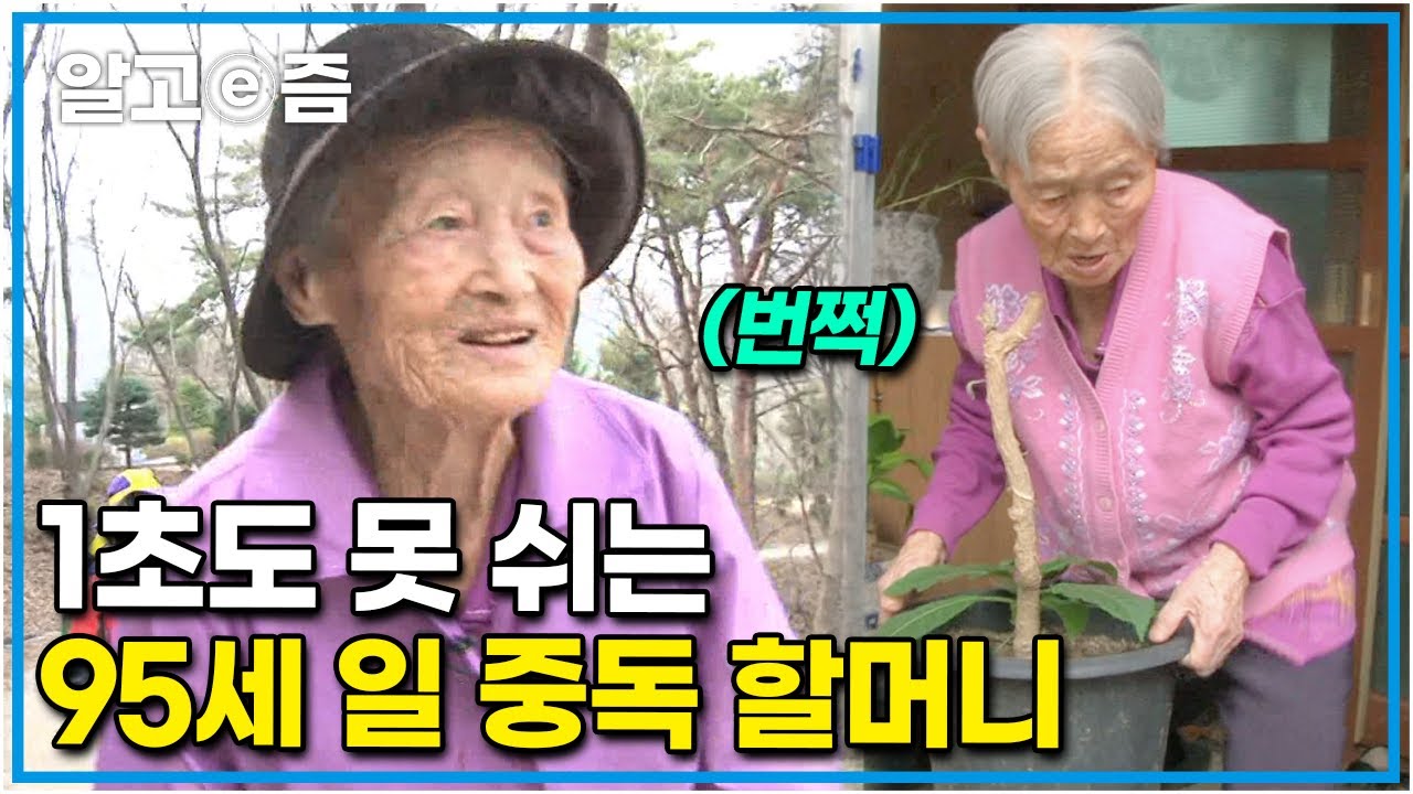 “사람이 먹기만 하고 노는 건 안 좋아” 뼈 맞는 조언 날리시는 95세 장수 할머니! 무거운 대형 화분도 번쩍 들어 올리실 정도로 힘이 장사~ │장수의 비밀│알고e즘
