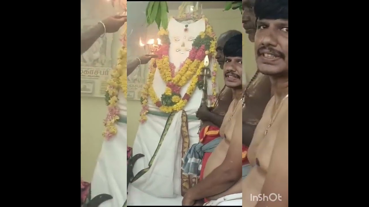 மாயாண்டி கொட்டை 