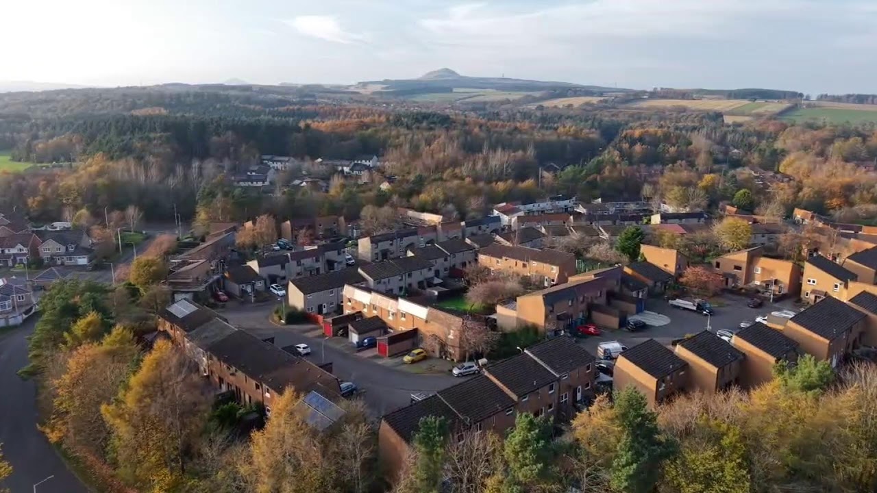 Drone Live Stream