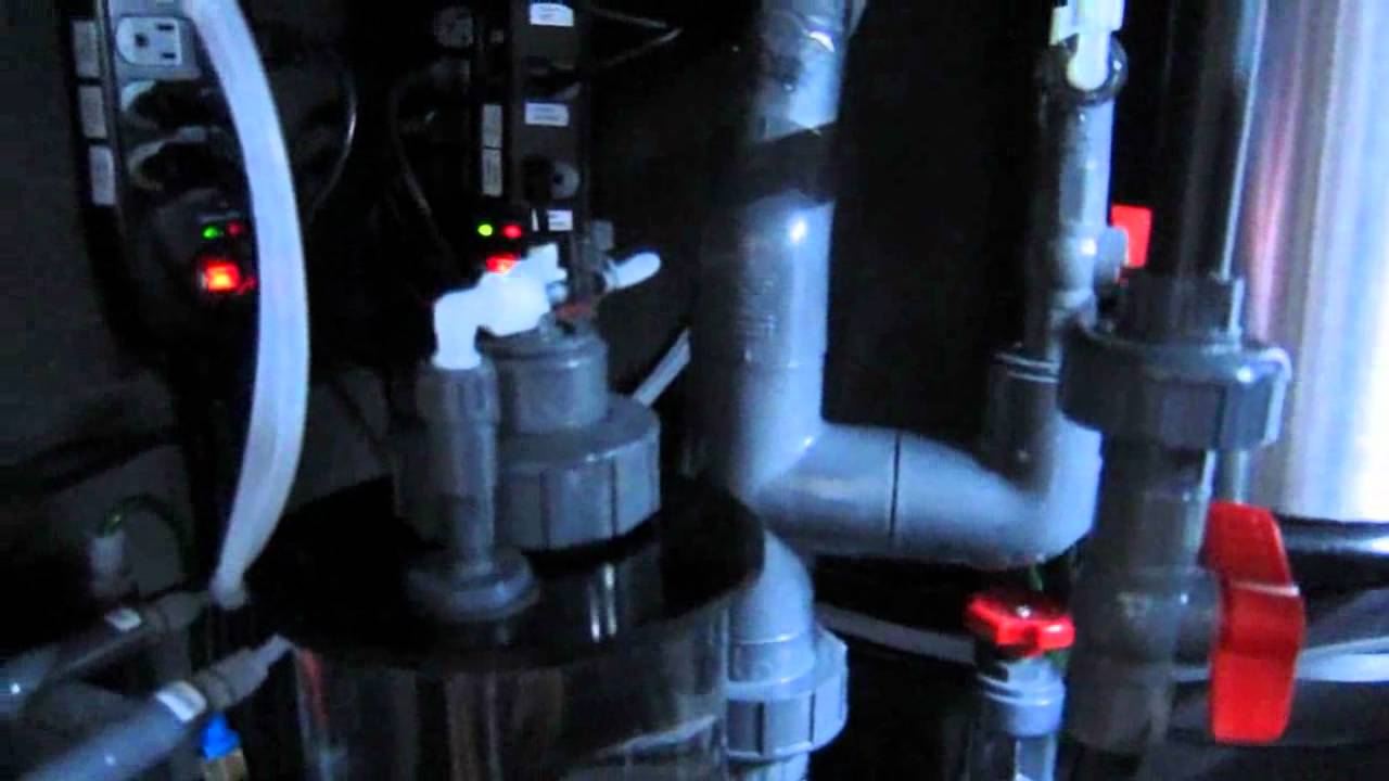 300 gallon reef tank sump and plumbing
