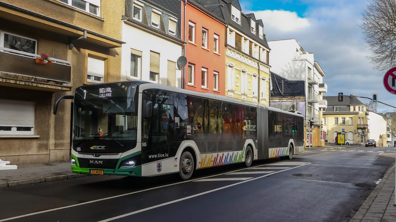 Réseau TICE - Esch sur Alzette