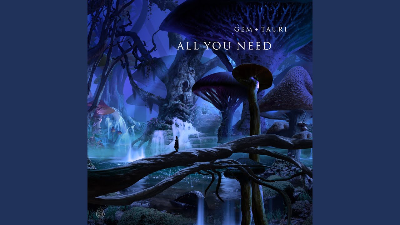 All You Need