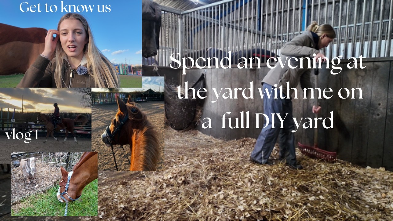 SPEND A EVENING AT THE YARD WITH ME ON A FULL DIY YARD ] yard jobs, get to know me and Bear