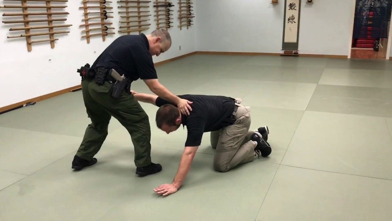 Aikido: Arrest and Control (ARCON)