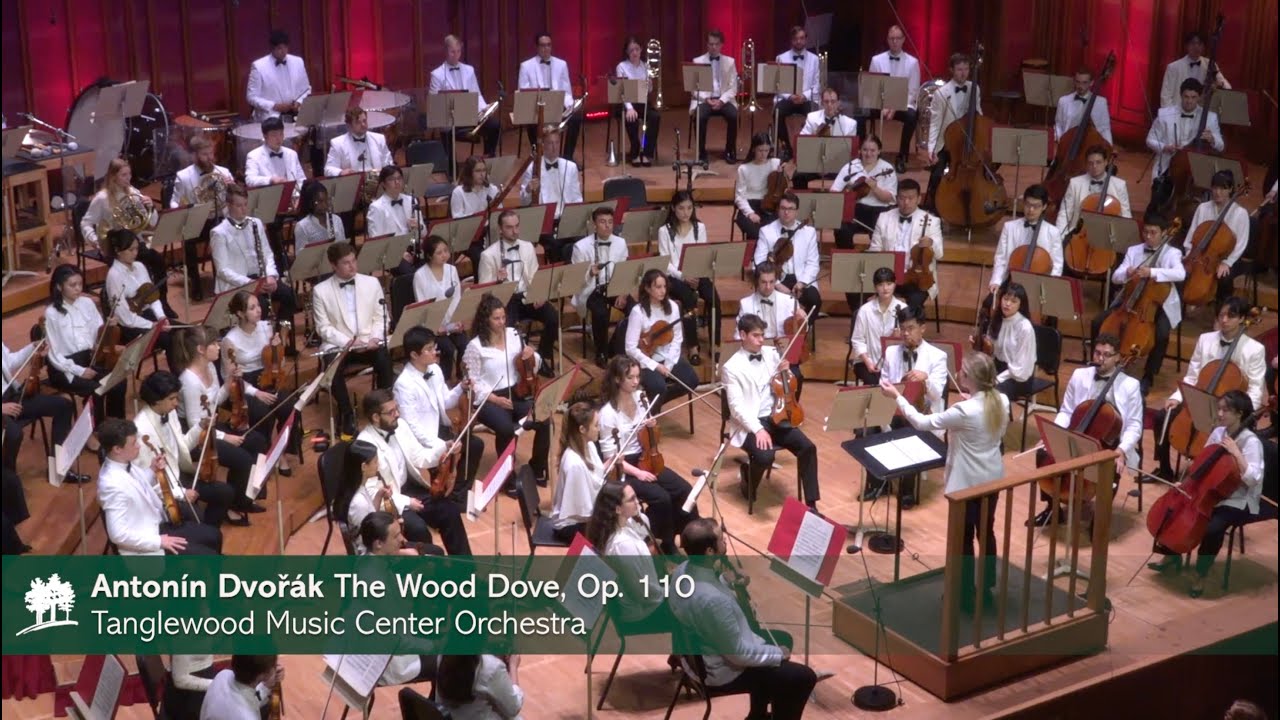 DVOŘÁK The Wood Dove - TMCO/Zając