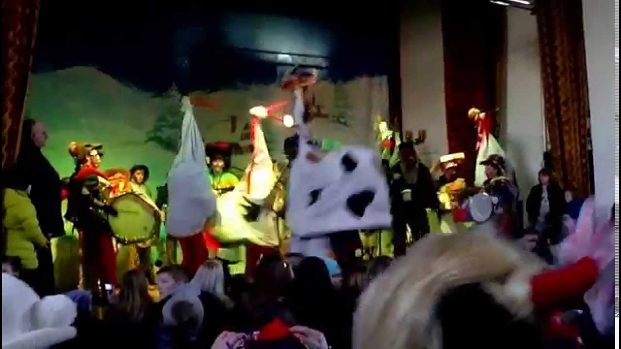 koza 2015 ostatki