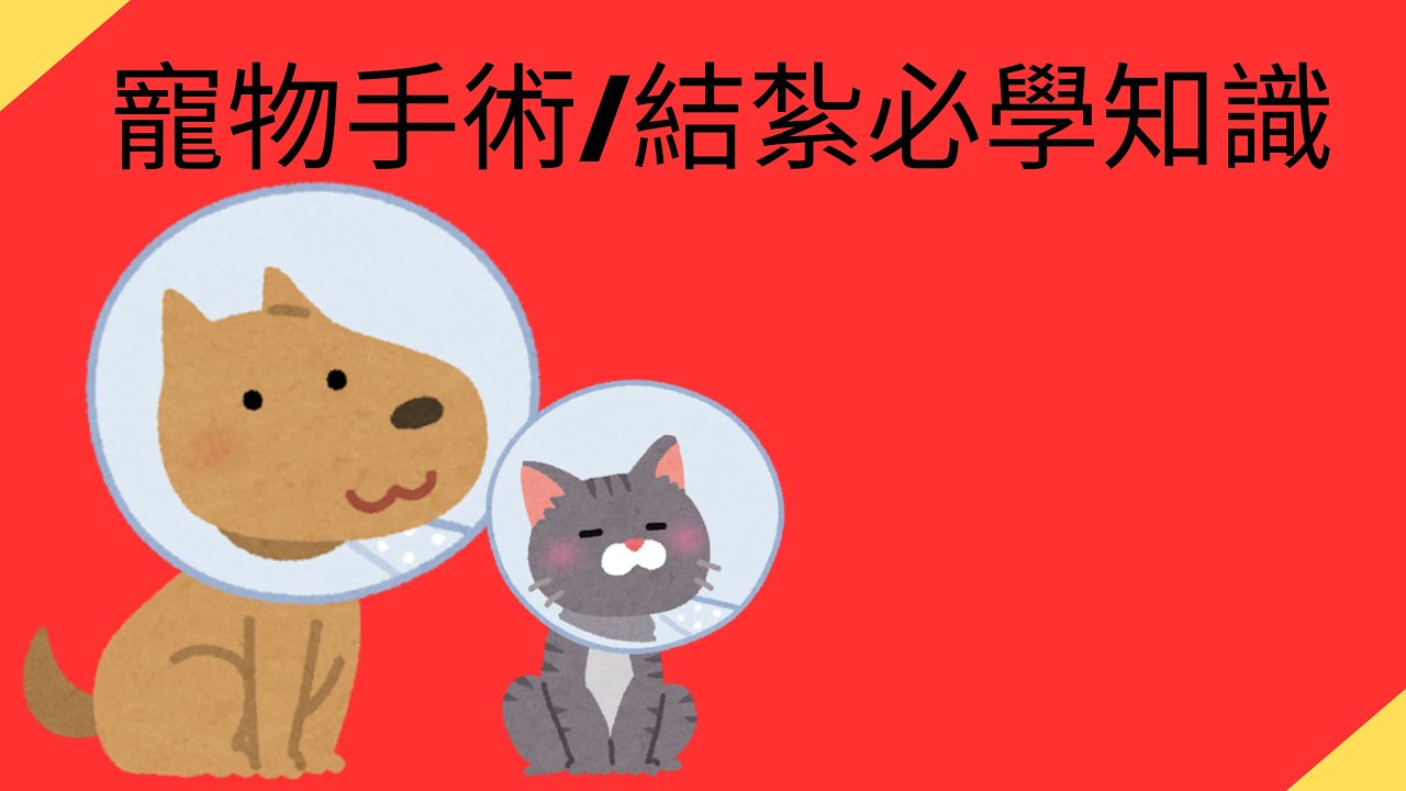 寵物結紮手術照護事項
