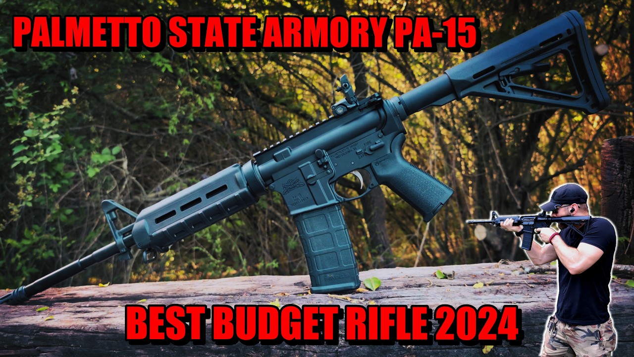 Palmetto State Armory PA-15 | Best Beginner 5.56 Rifle #psa #hunting #budget #review