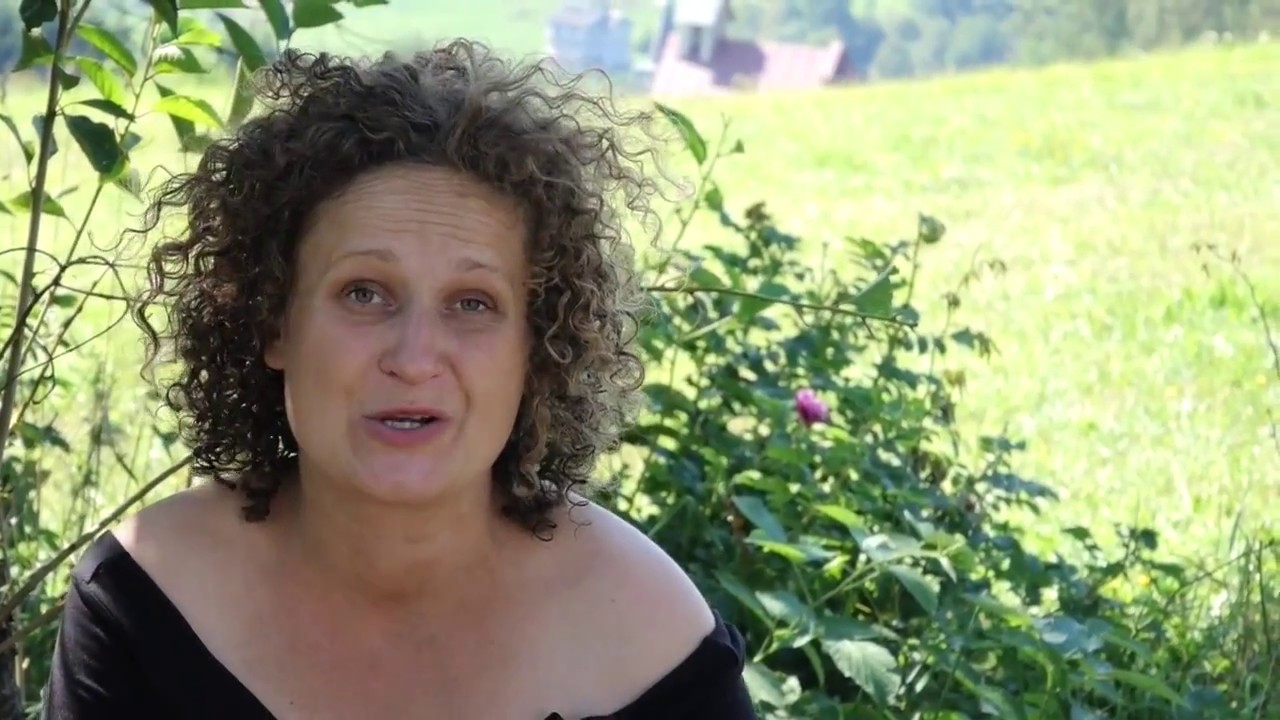 Złoto polskich ogrodów, czyli nasz rodzimy żeń-szeń – Nagietek lekarski