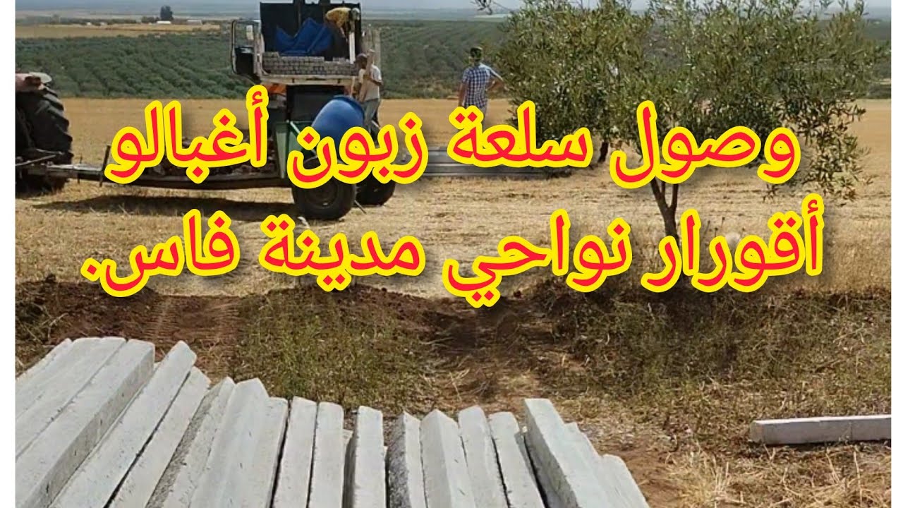 ڤيديو رقم 1 : وصول سلعة زبون أغبالو أقورار التابعة لجهة فاس وأجواء تنزيلها من الشاحنة.
