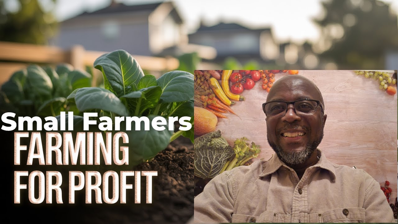 Can Small Farms Save America's Forgotten Communities?