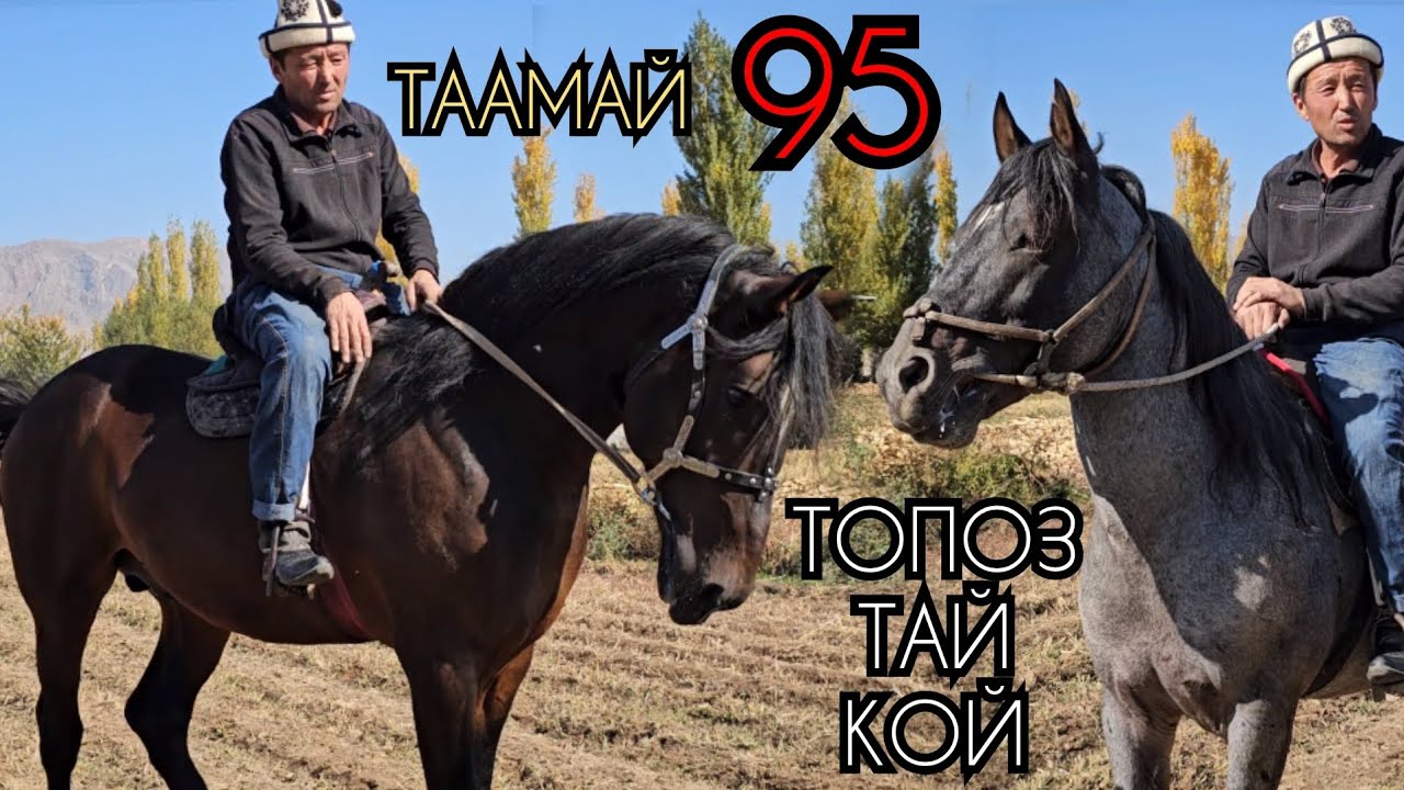 Улакчынын АТАРЫ АРАВАНДА