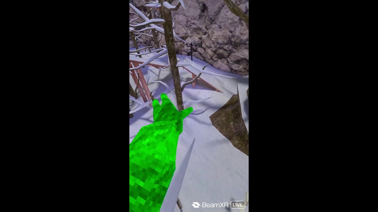 playing VR on live!