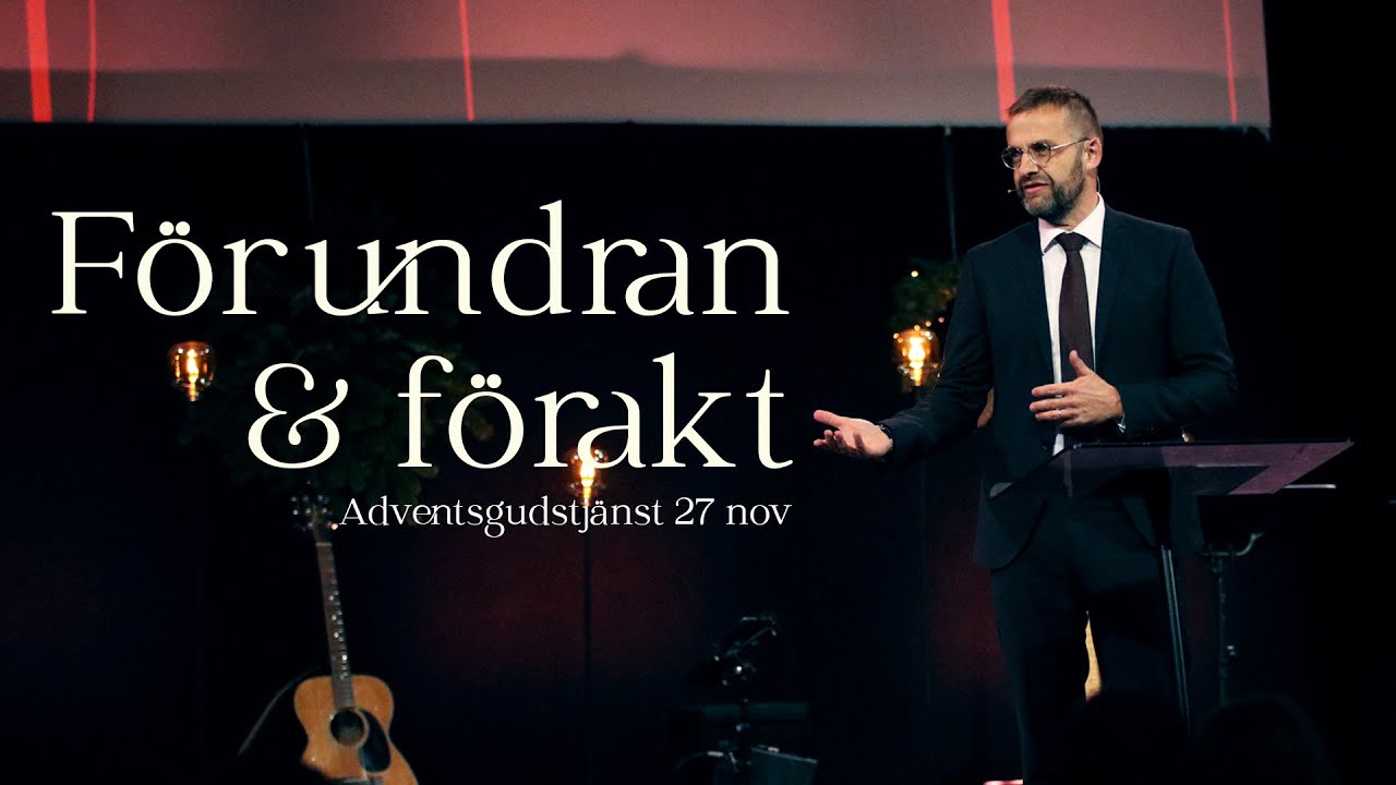 Förundran & förakt | Daniel Alm