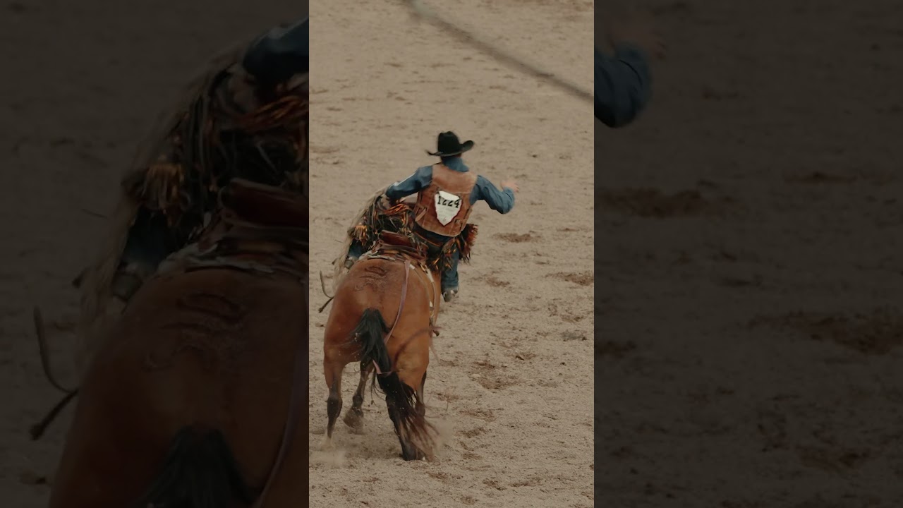 Gnarley Saddle Bronc Ride at the Daddy of Em' All #shorts