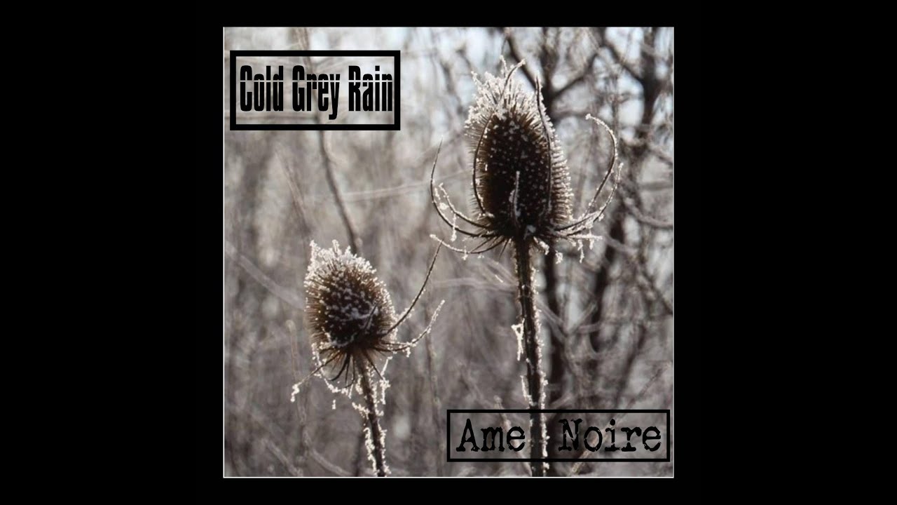 Cold Grey Rain - Ame Noire
