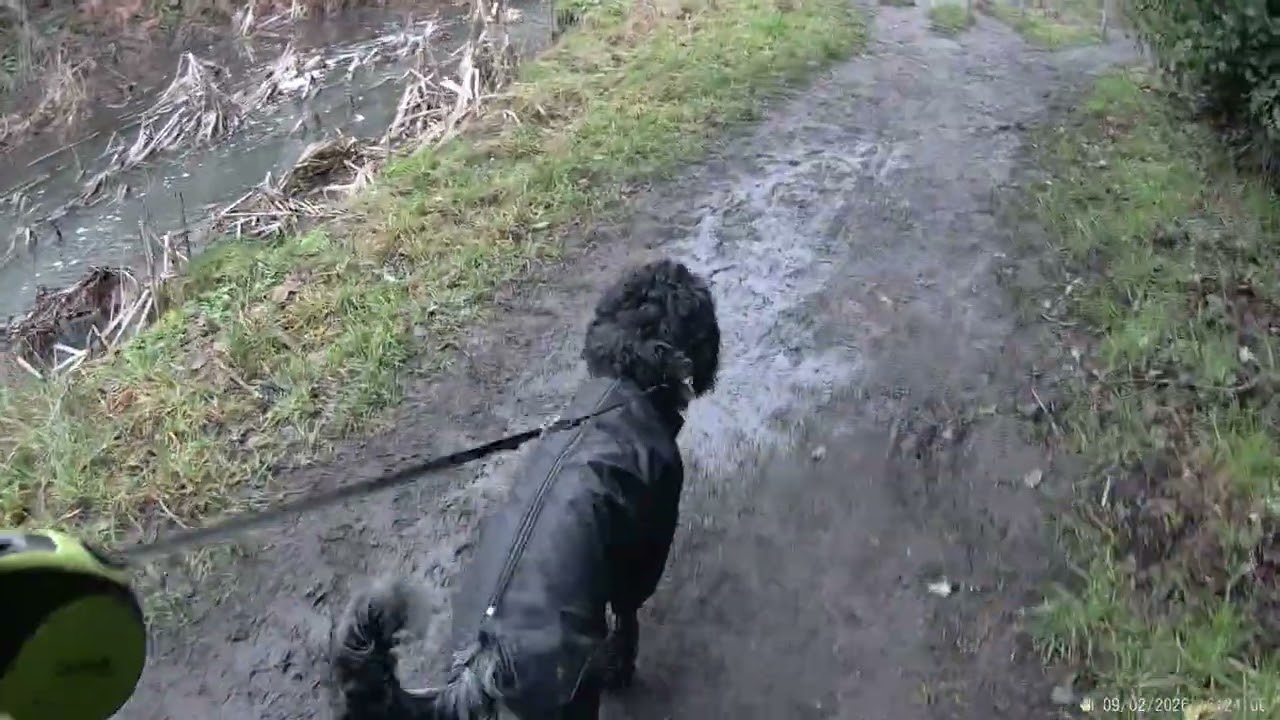 Walkies 9 2 26