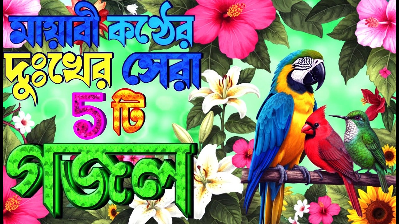 মধুর সুরে মন মাতানো ৫টি সেরা গজল | শোনুন একটি বার হৃদয় ছোয়ে যাবে |New Islamic Gojol