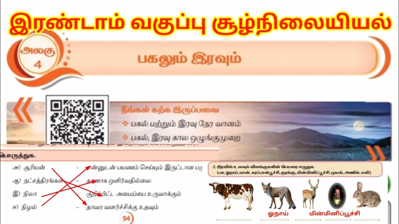 இரண்டாம் வகுப்பு சூழ்நிலையியல் மூன்றாம் பருவம் இரவும் பகலும் @sivaselvilaksitha