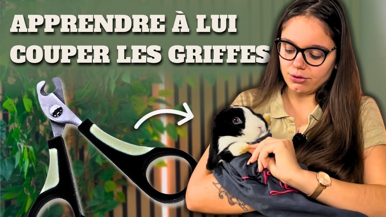 Comment COUPER LES GRIFFES de son lapin ? 🐰✂️ TUTO COMPLET