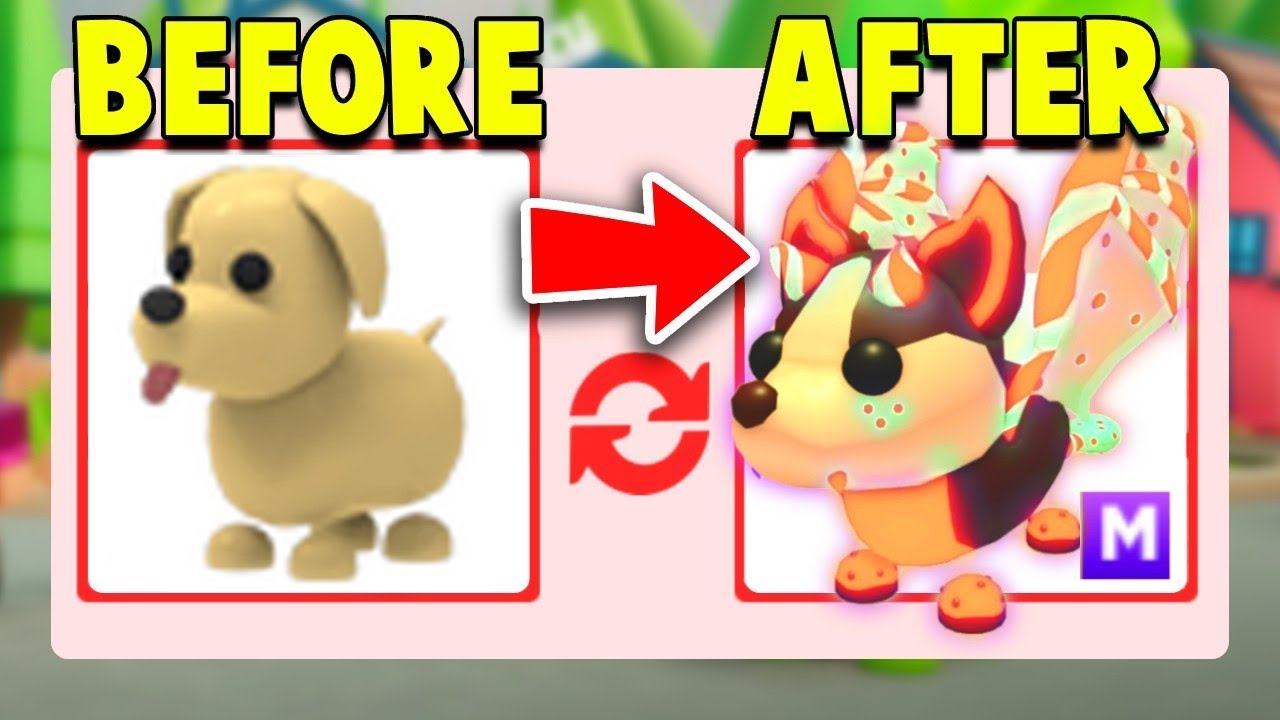 BEST Poor To Rich Adopt Me Challenge Videos!