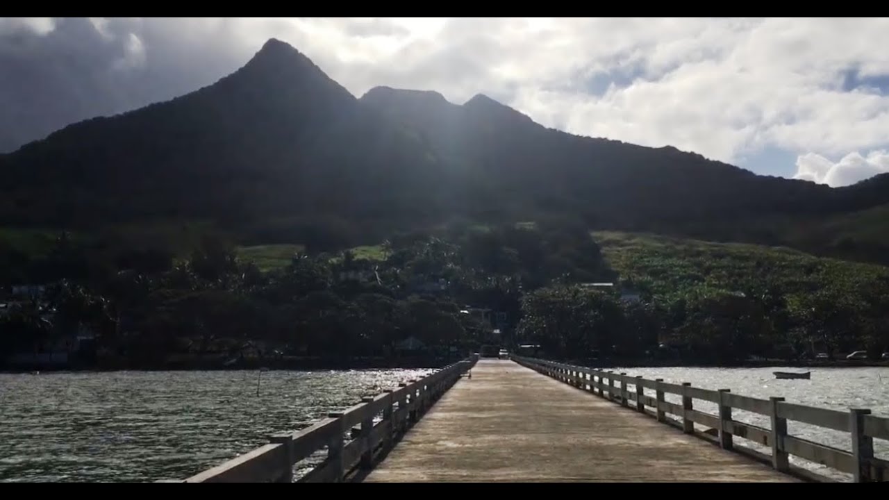 Bois des Amourettes Mauritius