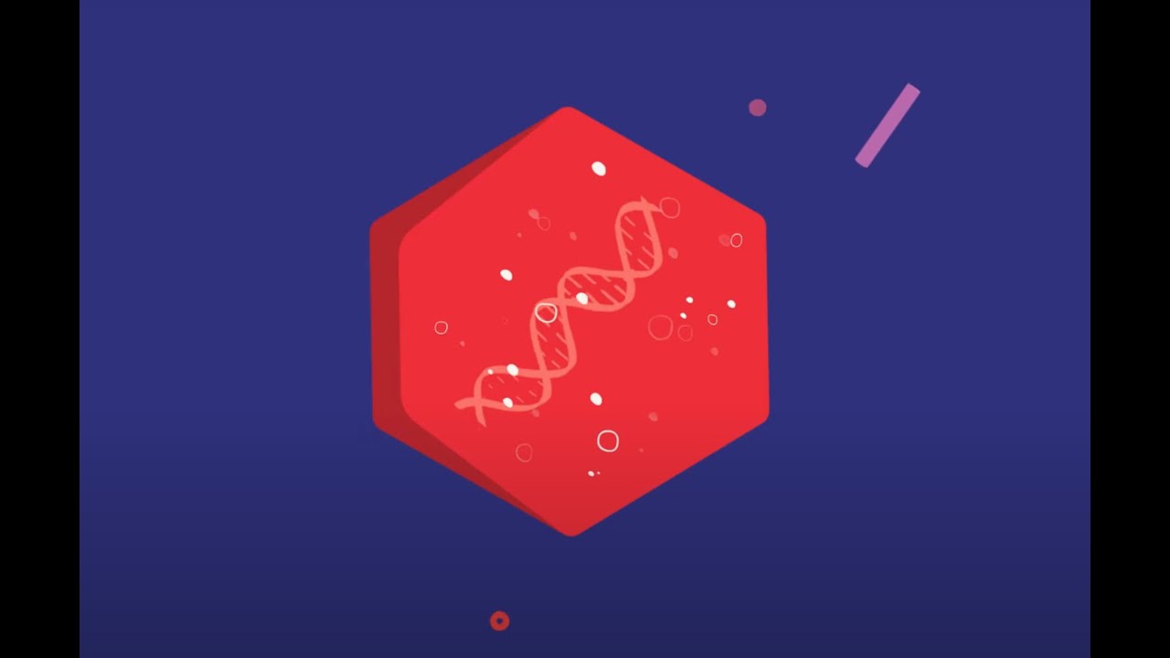 Gene Therapy for GM1 Gangliosidosis