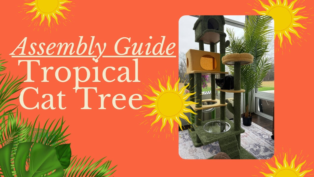 How to Assemble the Yaheetech Cactus Cat Tree (Easy!)