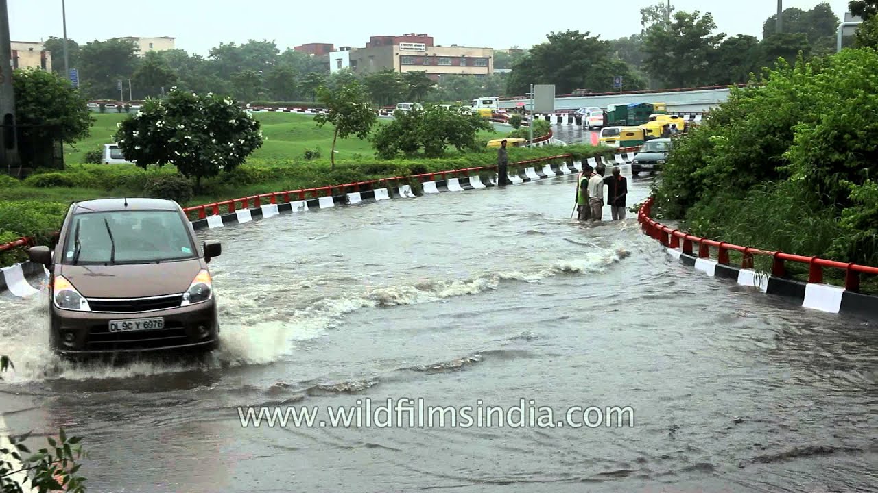 Scared to enter the puddle at Aiims flyover