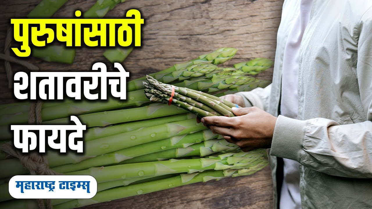Shatavari Benefits For Men | पुरुषांच्या आरोग्यासाठी लाभदायक आहे 'ही' एक गोष्ट | Maharashtra Times