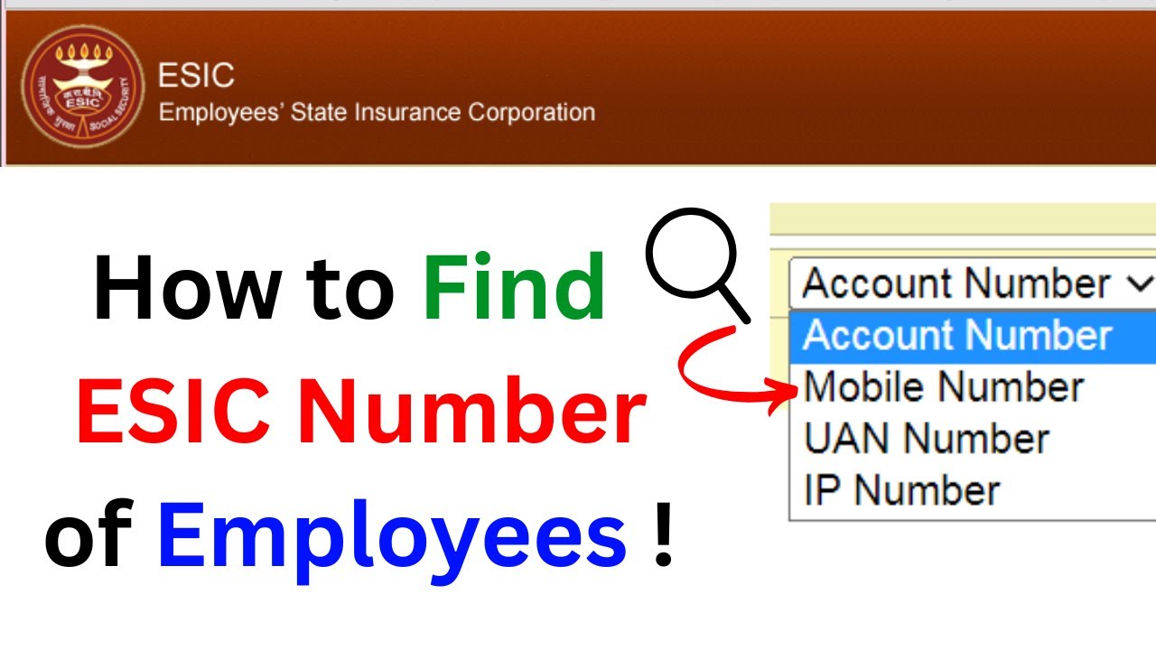 How to Find ESIC Number of Employees !