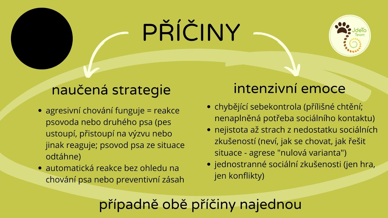 Příčiny agresivního chování vůči jiným psům