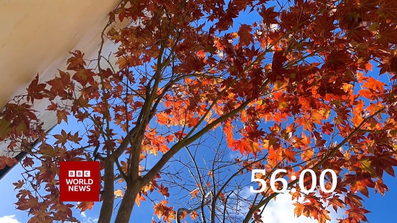 Mock Own Footage BBC News Countdown #168