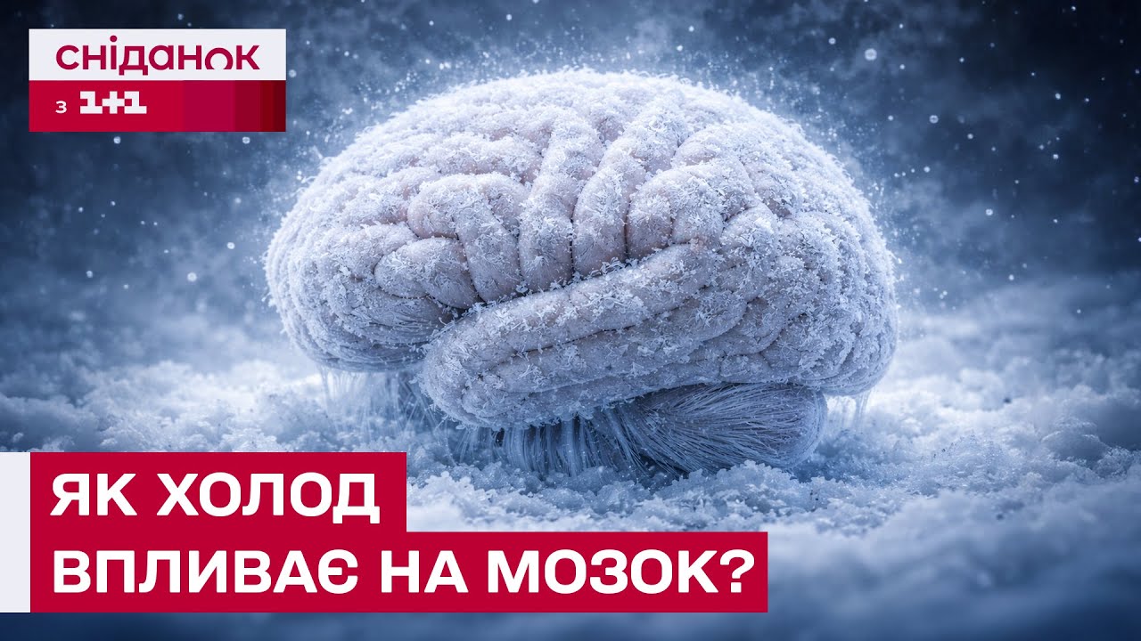 ВИ БУДЕТЕ ШОКОВАНІ! Як наш мозок реагує на тривалий холод?