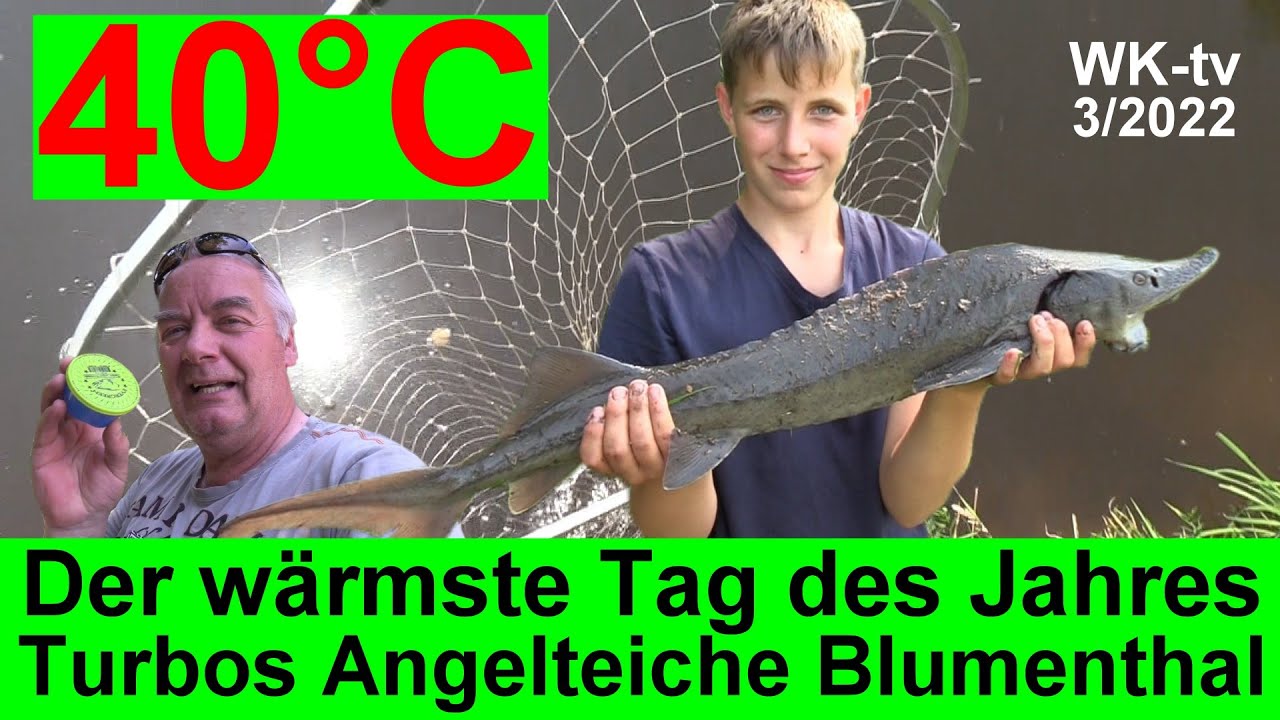 Angeln bei 40&deg;C an Turbos Angelteichen auf St&ouml;r und Wels. Geht da was? Der w&auml;rmste Tag des Jahres