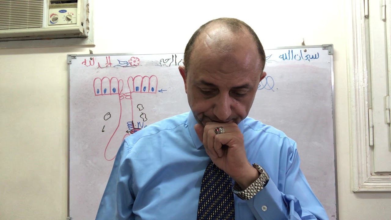 Stomach histology -part 5