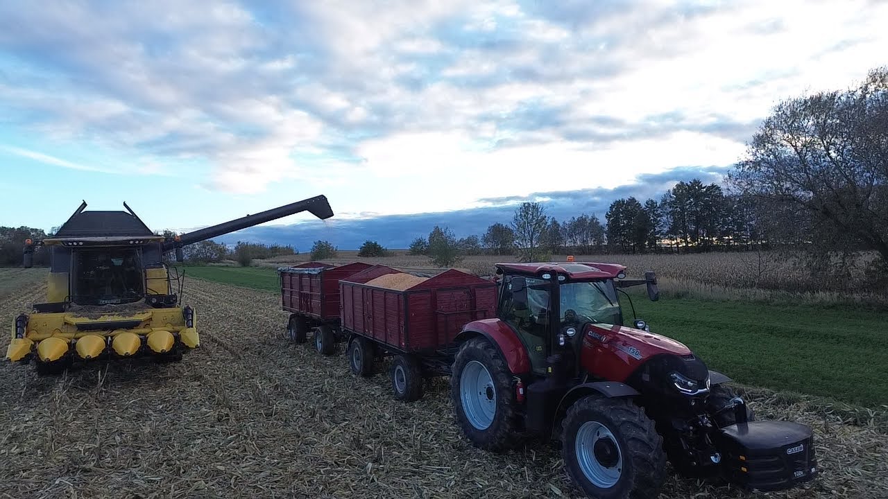 🔥Kukurydza na ziarno 2025🔥 NEW HOLLAND CX 5.80 🔥 CASE PUMA 150