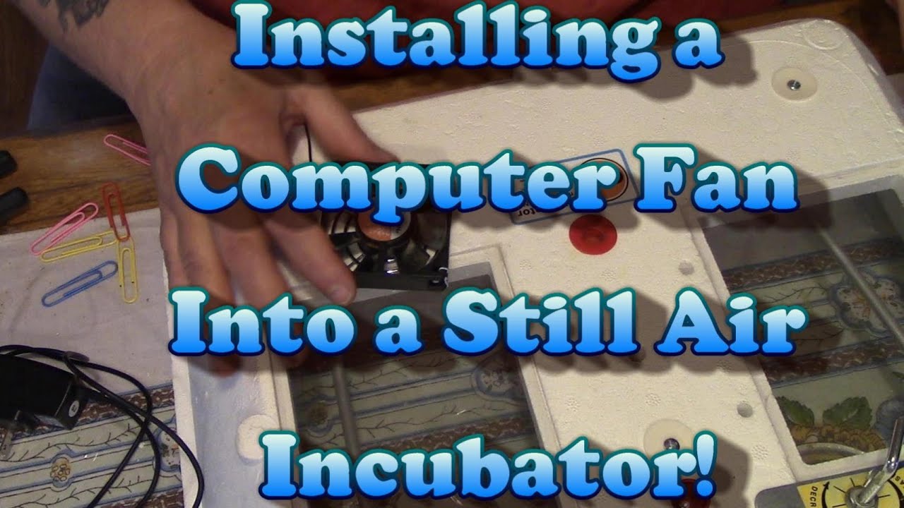 Installing A Fan In A Still Air Incubator!! For PENNIES!