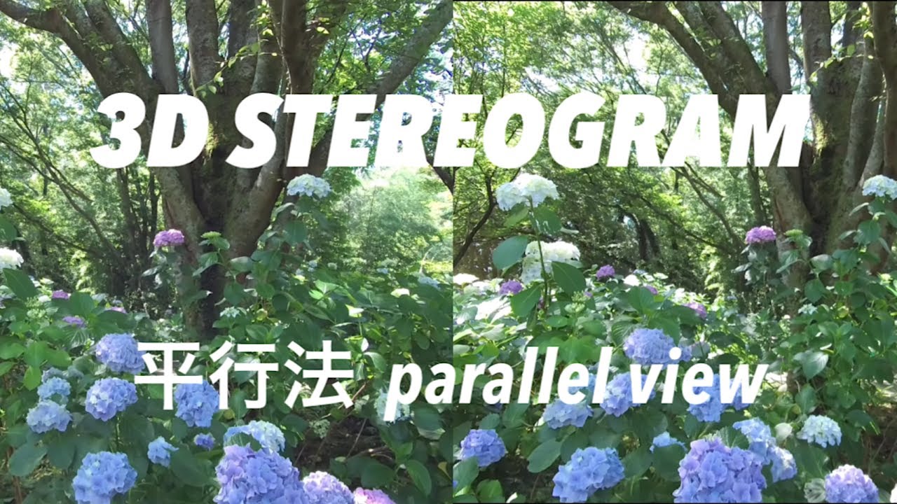 STEREOGRAM (Parallel View 3D) | 平行法☆ステレオグラム | P16 STEREOSCOPIC