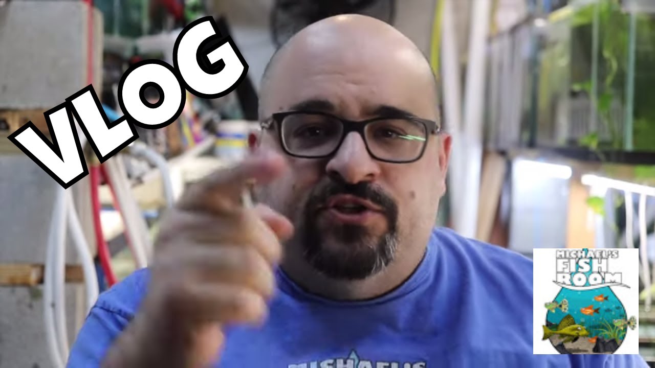 Michael's Fish Room VLOG
