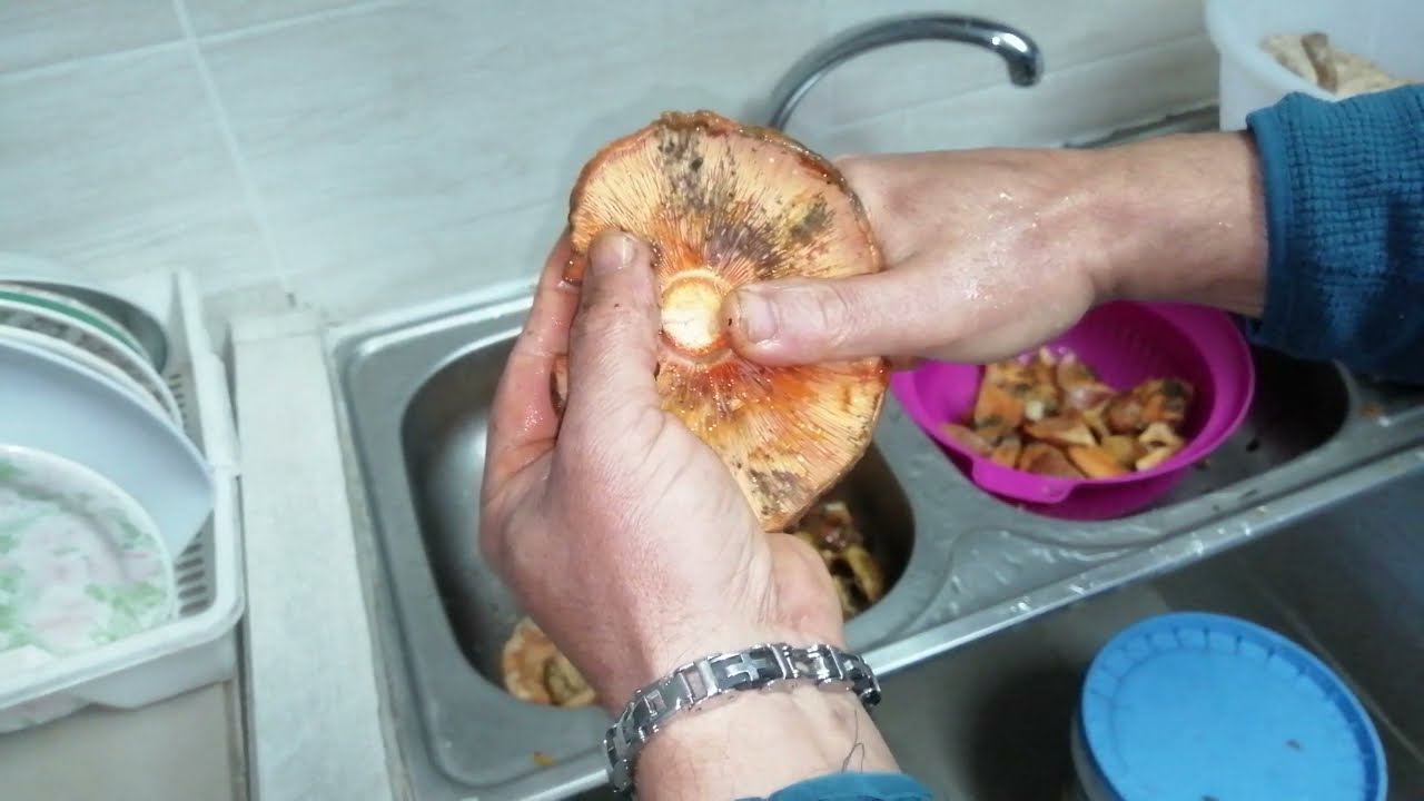 Preparazione dei funghi silani, sottolio extravergine d'oliva, da MicheleExpert-Cropalati -Calabria