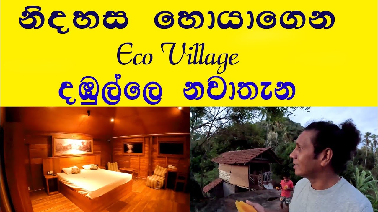 Eco village ❤ සුන්දර දවසක්👍 දඹුල්ලේ නවතින්න  සුපිරි තැනක් 😍 කැලයක් මැද රැයක් ❤ @travelwithlahiru